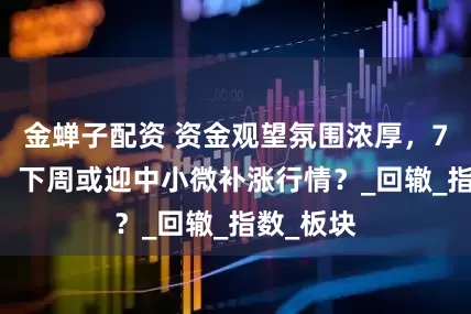 金蝉子配资 资金观望氛围浓厚，7月13日，下周或迎中小微补涨行情？_回辙_指数_板块