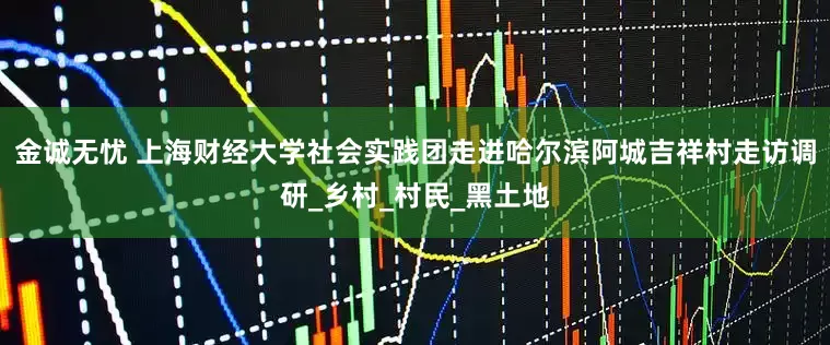 金诚无忧 上海财经大学社会实践团走进哈尔滨阿城吉祥村走访调研_乡村_村民_黑土地