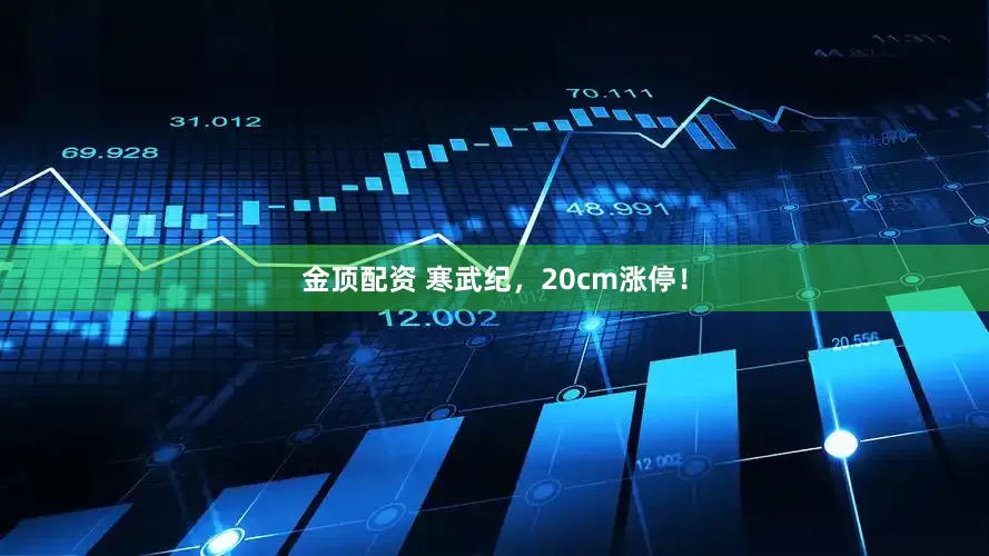 金顶配资 寒武纪，20cm涨停！